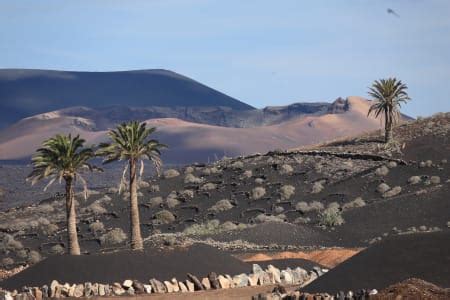 la balaguere|la balaguere canaries.